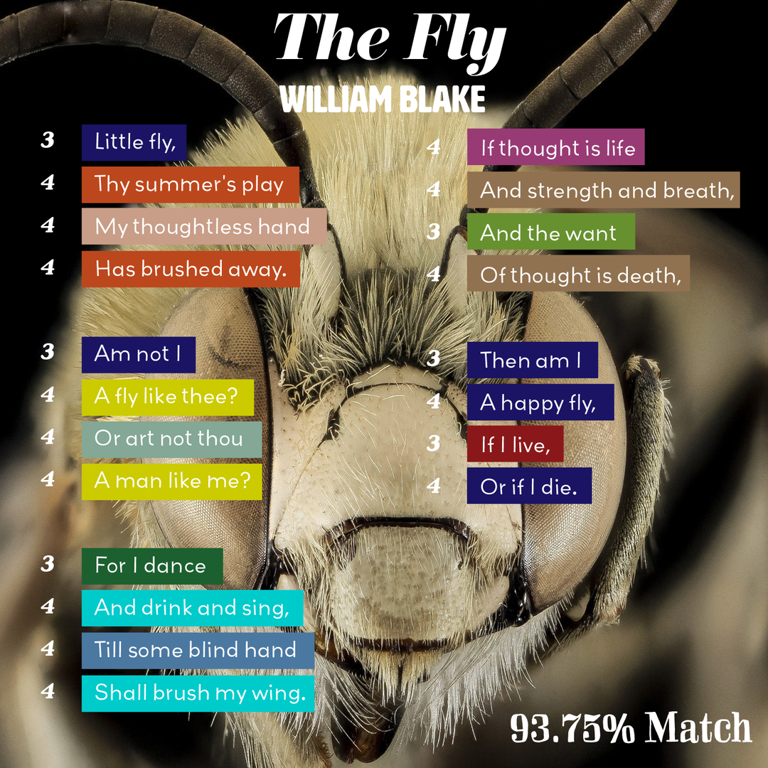 The Fly - Poet Tree Poetry