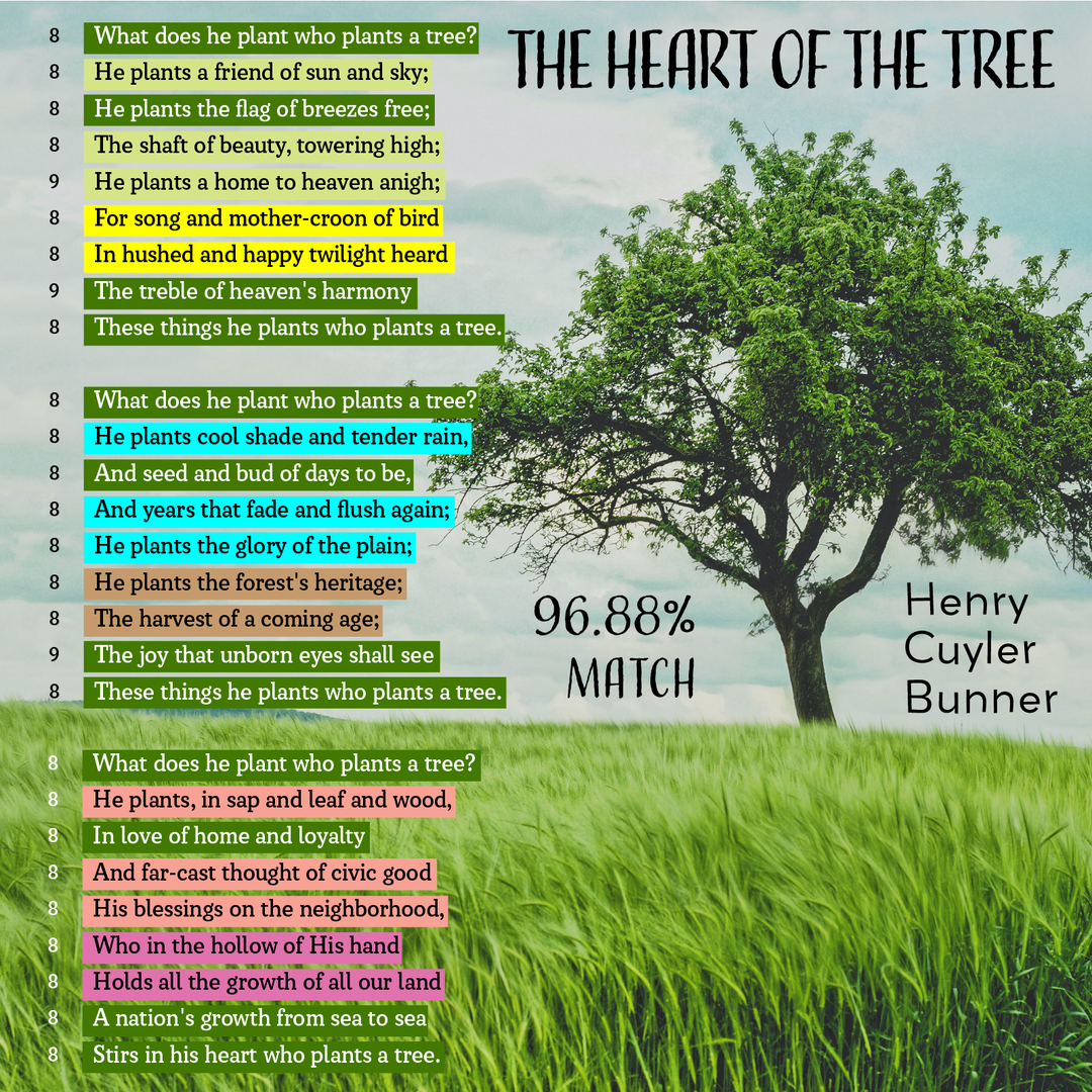 The Heart of the Tree - Poet Tree Poetry