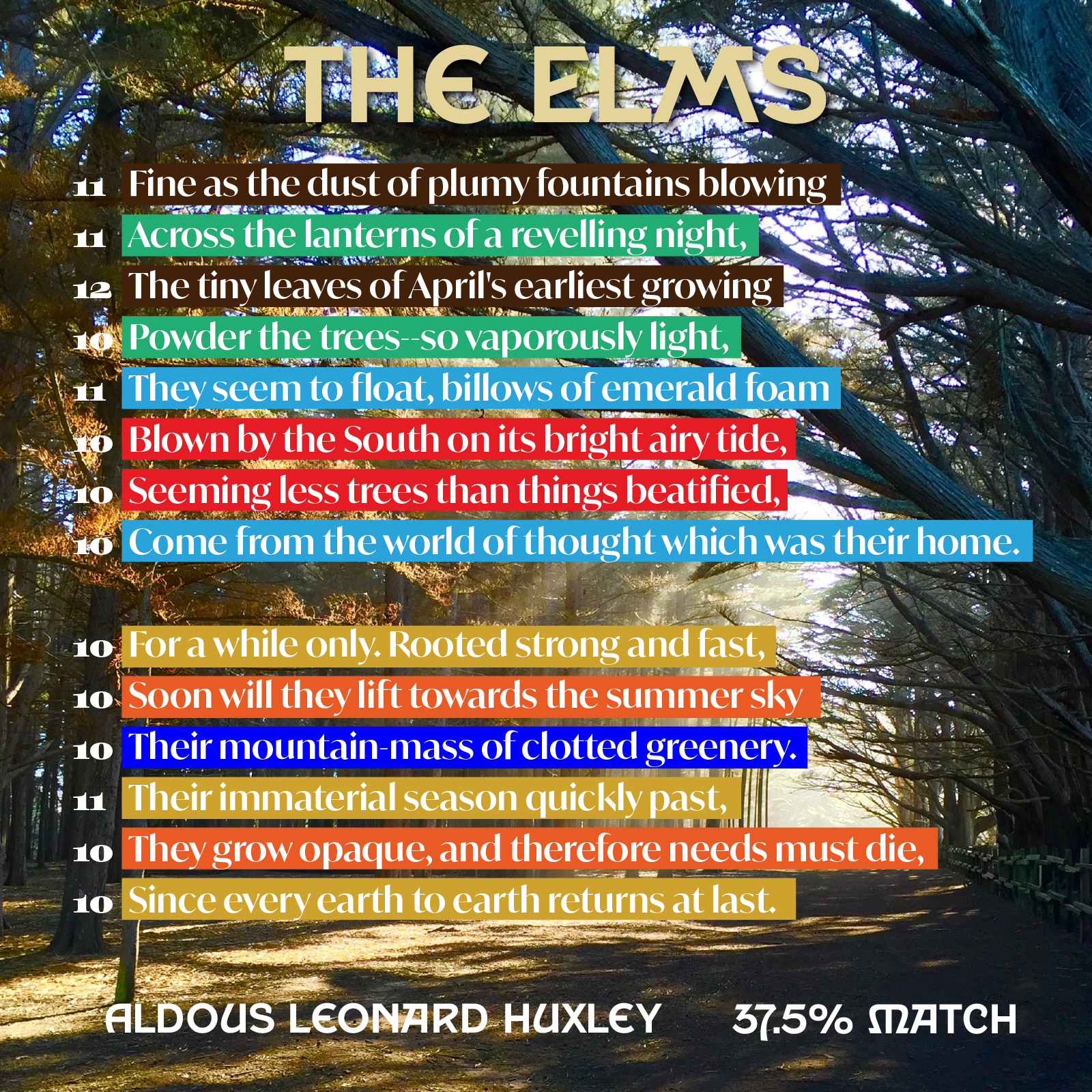 The Elms - Poet Tree Poetry